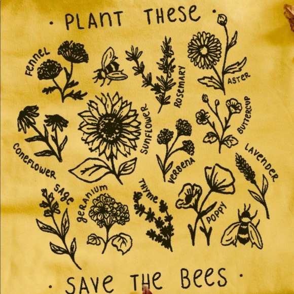 Meet your Posher, Dani - Picture 1 of 1